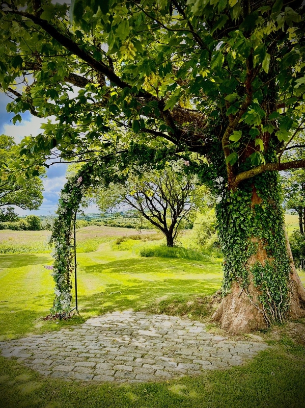 Gallery image 4: avalen-weddings