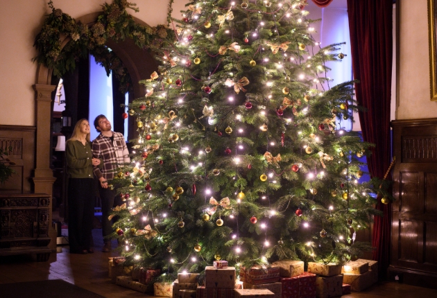 Couple gazing up at Christmas tree at Dunster Castle