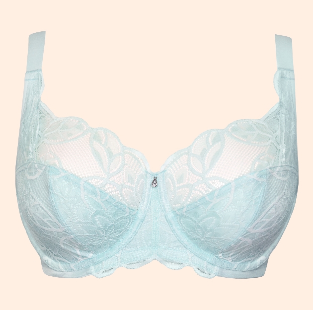 Lovelace pale mint bra by Curvy Kate