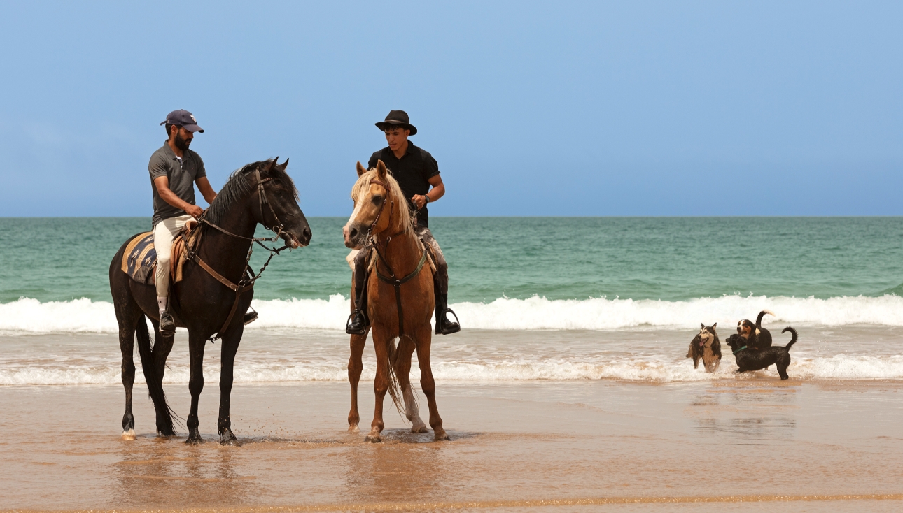 two men on horses in the sea