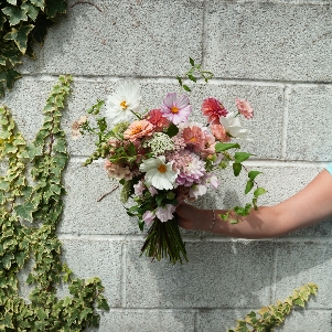 Studio Petal